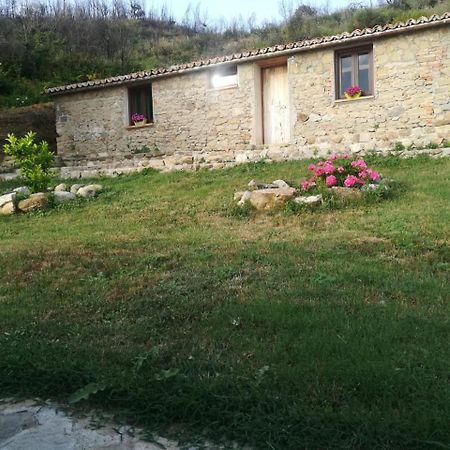 Il Cerro Agriturismo Zagarese Фускальдо Экстерьер фото