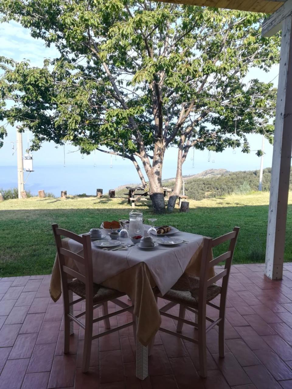 Il Cerro Agriturismo Zagarese Фускальдо Экстерьер фото